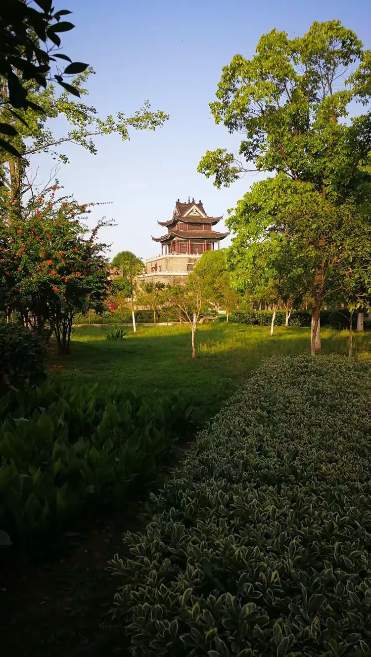 玩家必读“楚天游开挂神器”开挂(透视)辅助
