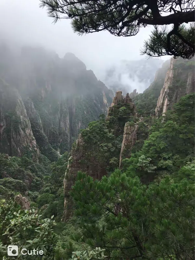 一键必胜“黄山麻将有挂吗	”开挂辅助脚本+详细开挂安装教程-第1张图片