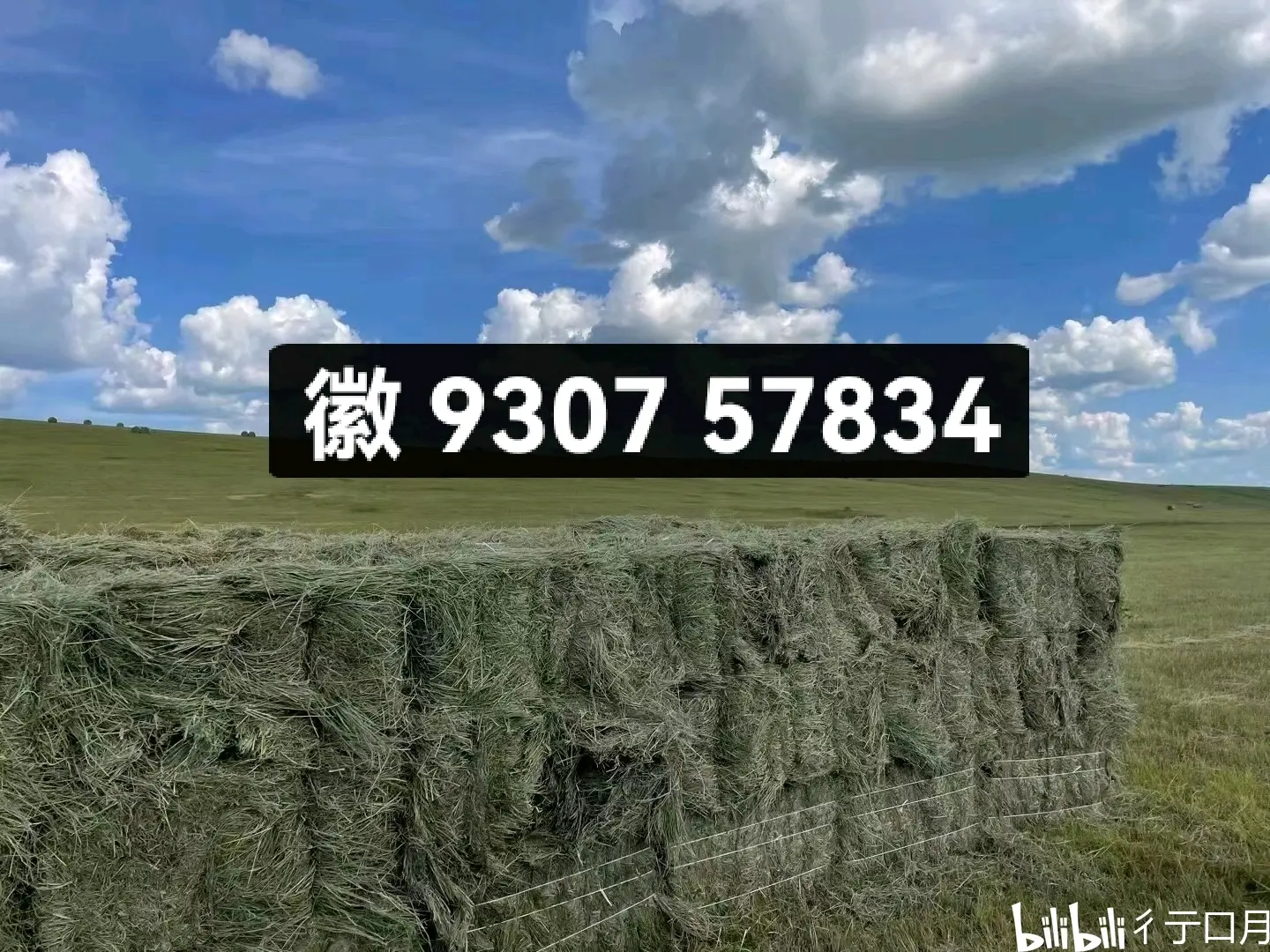 开挂辅助工具“微信链接拼三张有挂吗(辅助神器)开挂详细教程-第3张图片