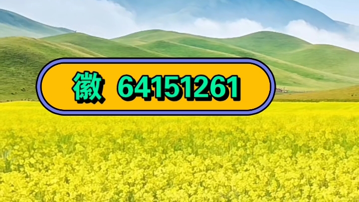 实测教程“wepoker辅助透视作弊”科技辅助神器手机版教程-第3张图片