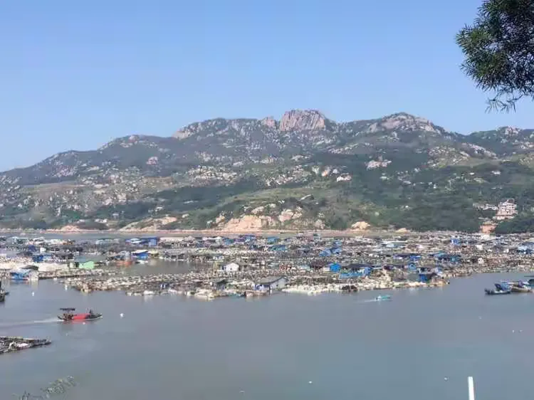 万能开挂辅助“一起宁德钓蟹有挂什么手机”太坑人了,真的有挂-第2张图片