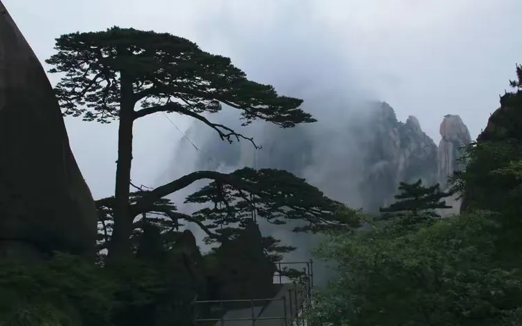 一键必胜“黄山麻将有挂吗”开挂辅助脚本+详细开挂安装教程-第2张图片