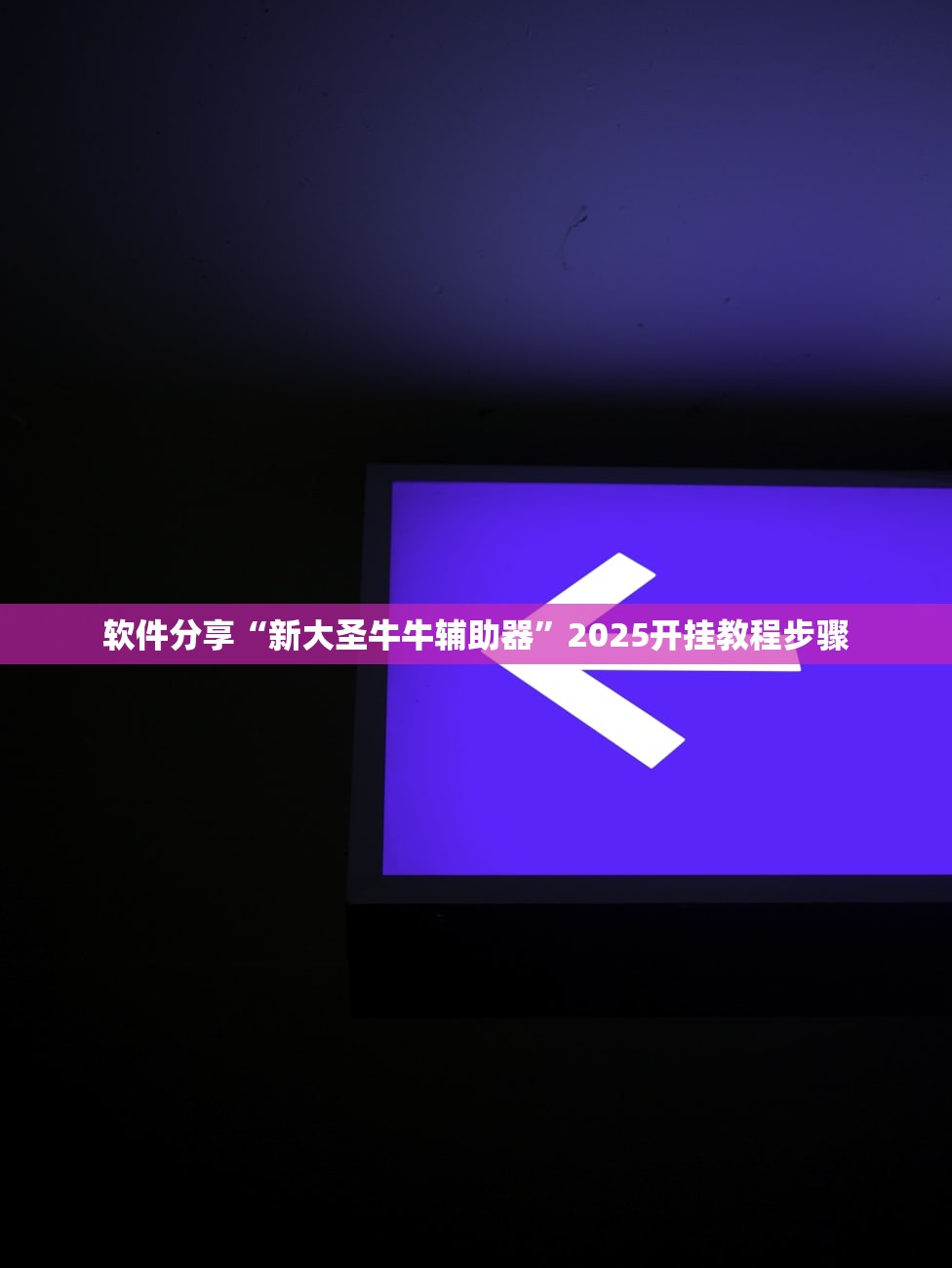 开挂辅助工具“闲逸斗地主外卦神器”(透视挂)辅助透视教程-第3张图片