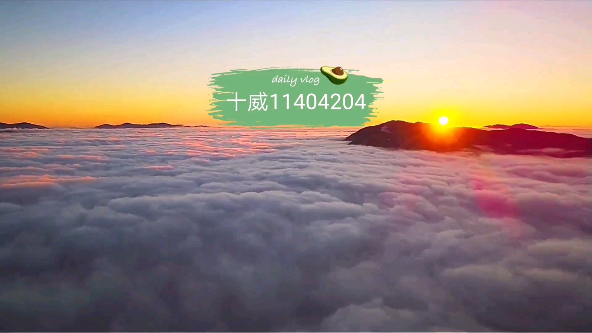 指定教程“广东雀神麻将开挂器下载”科技辅助神器手机版教程-第1张图片