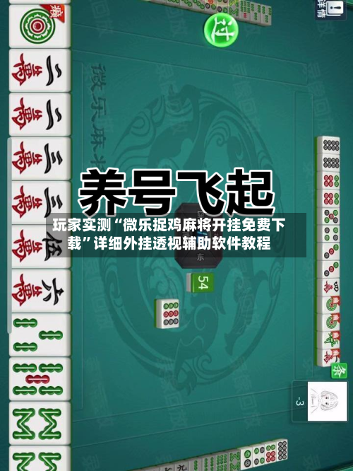 玩家必读“微乐山西扣点麻将开挂神器”(透视)开挂辅助脚本+详细开挂安装教程-第3张图片