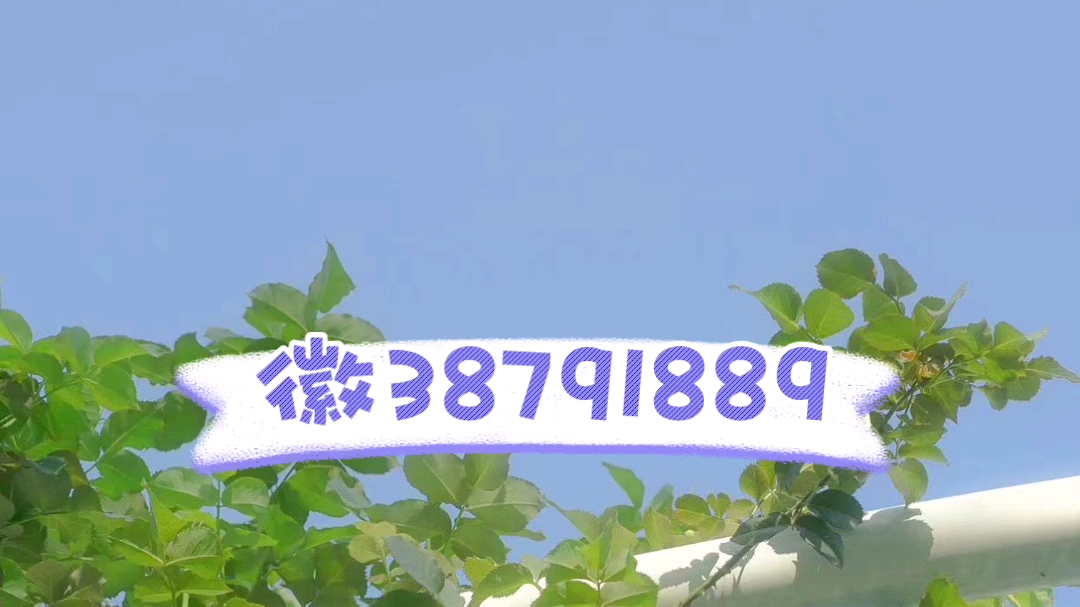教程辅助!“wepoker透视脚本免费”开挂(透视)辅助教程-第1张图片