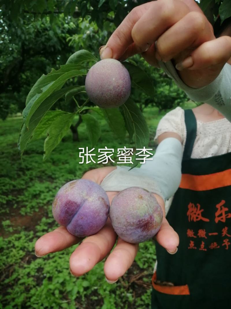 真实辅助“微乐广西麻将开挂神器代发”(原来确实是有插件)-第2张图片