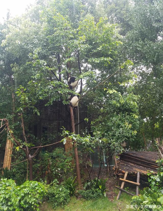 分享实测辅助“蜀山四川麻将外卦神器下载安装免费(透视)”详细开挂玩法-第3张图片