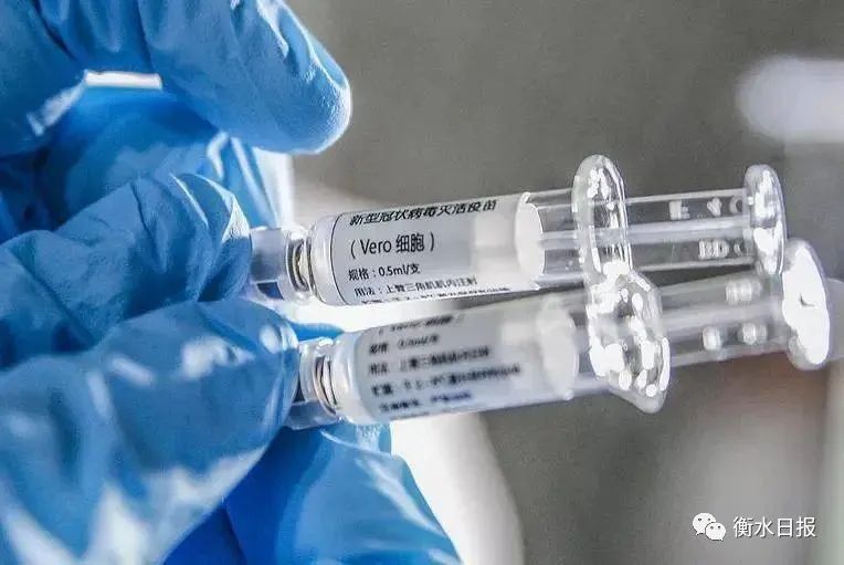 【衡水疫情最新情况/衡水疫情消息】-第1张图片