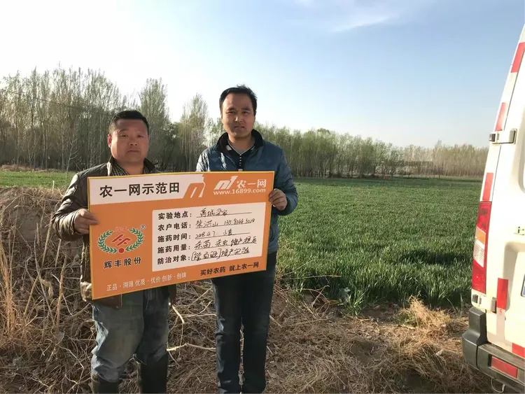 一键必胜“金花外卦神器下载	”详细透视教程-第2张图片