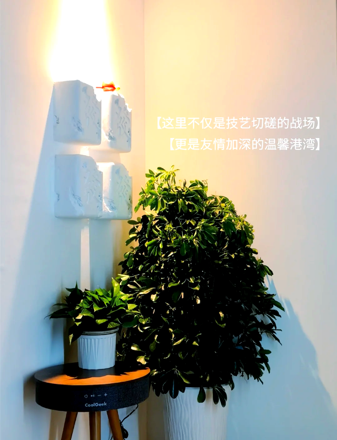 实操教程“微乐麻将小程序万能开挂器	”开挂(透视)辅助神器-第2张图片