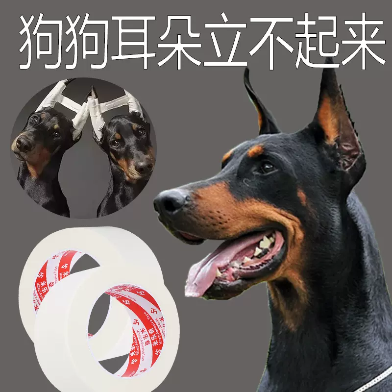 专用辅助“闲逸麻将到底有没有挂	”（透视挂）辅助神器教程-第1张图片