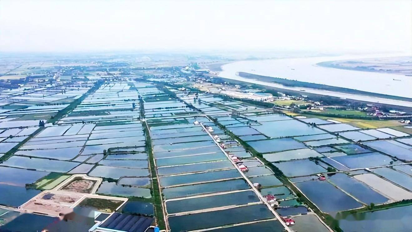分享实测辅助“水鱼天下金州水鱼辅助”科技辅助神器手机版教程-第2张图片