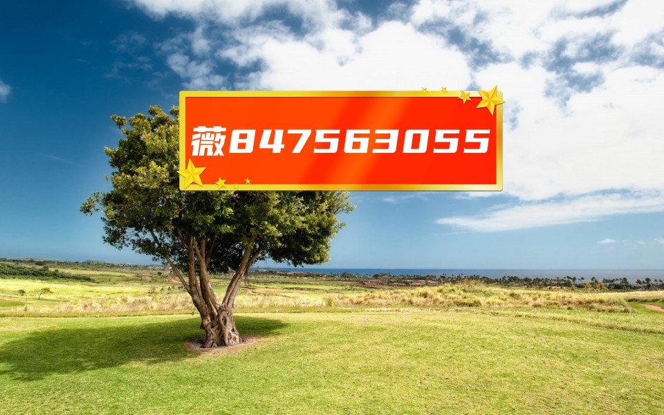 实测!“牵手跑胡子开挂方法最新版	”(透视)详细透视辅助教学-第1张图片