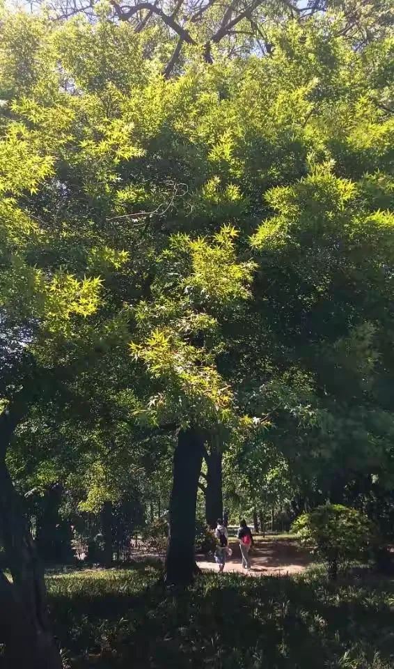 教程辅助!“智星德州菠萝辅助开挂透视脚本	”科技辅助神器手机-第2张图片