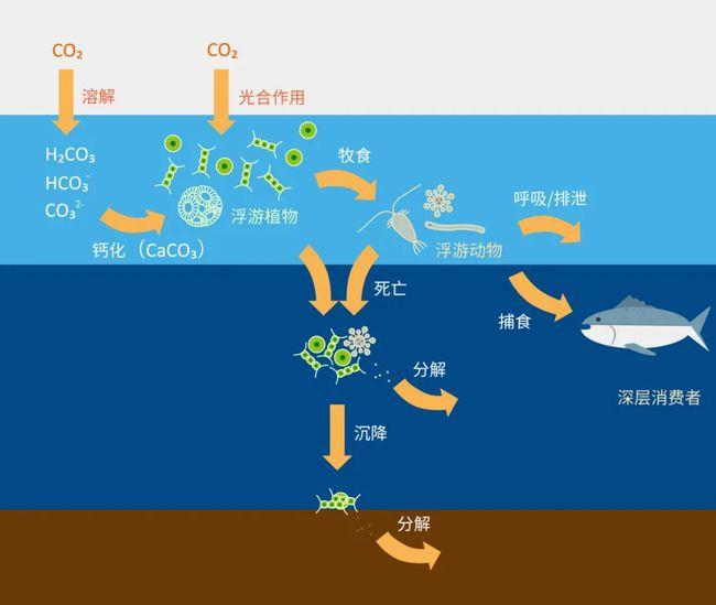 科普实测“微乐北京麻将的胜率提高方法”助赢开挂器（安装教程）-第2张图片