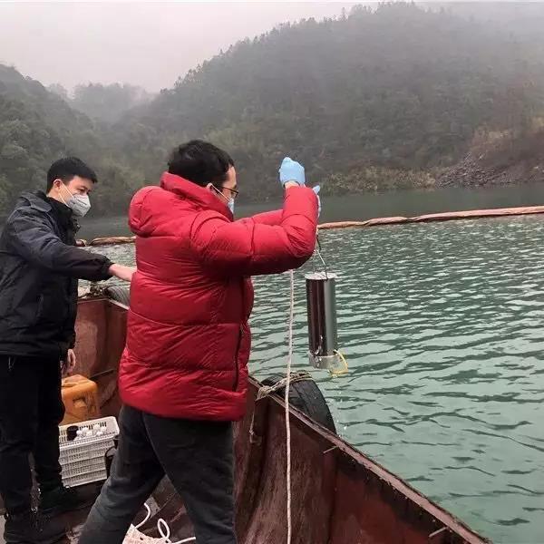 “重庆肺炎” 重庆肺炎环境监测有限公司的违法记录？-第2张图片