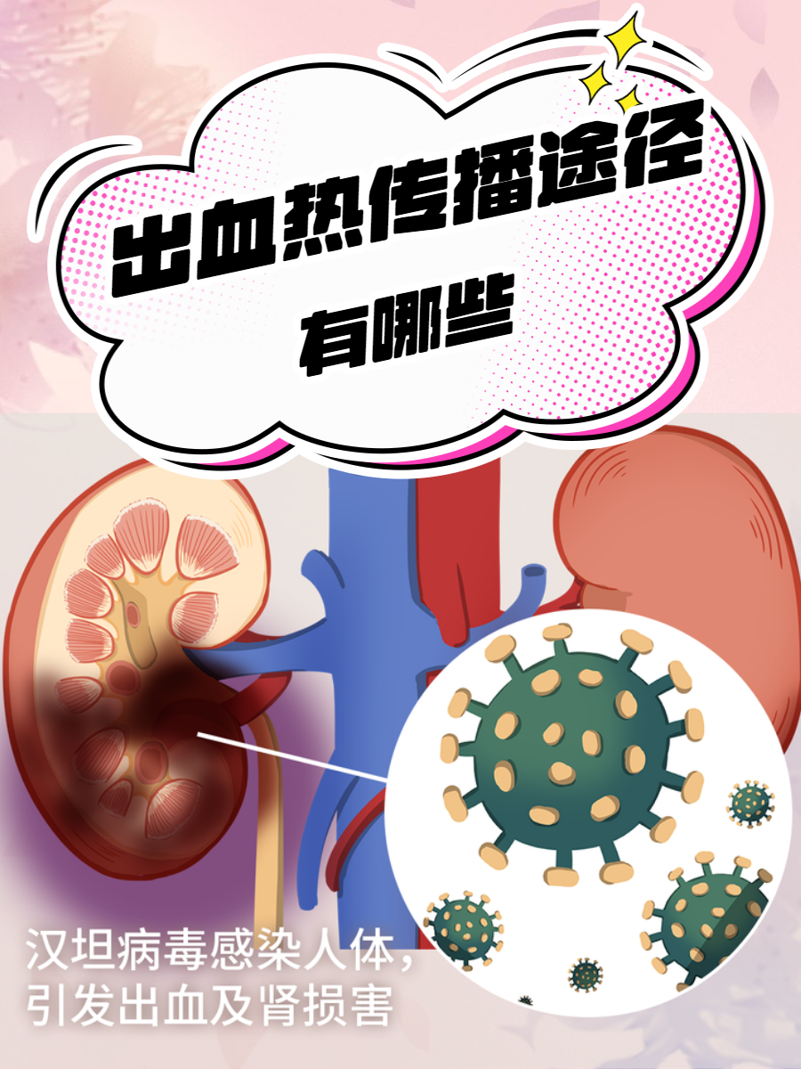 此次疫情传播的特点-此次疫情传播途径-第1张图片