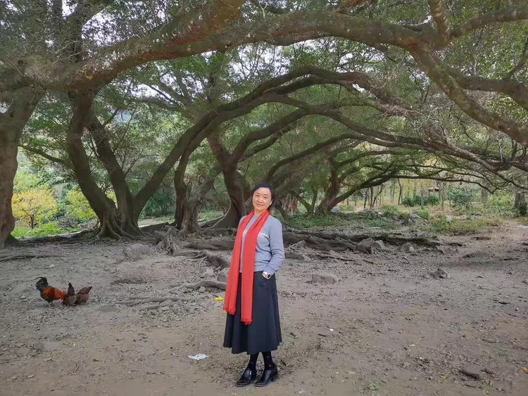 实测辅助“相约福建麻将十三水怎么开挂”开挂(透视)辅助教程-第1张图片