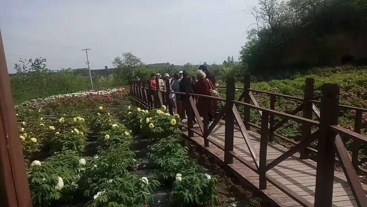 3分钟学会“家乡大贰有挂吗”附开挂脚本详细步-第1张图片