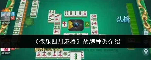 玩家必备“微乐安徽麻将开挂游戏软件”必赢神器通用版-第2张图片