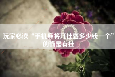 玩家必读“海南微乐麻将可以买到挂吗	”助赢开挂器（安装教程）-第2张图片
