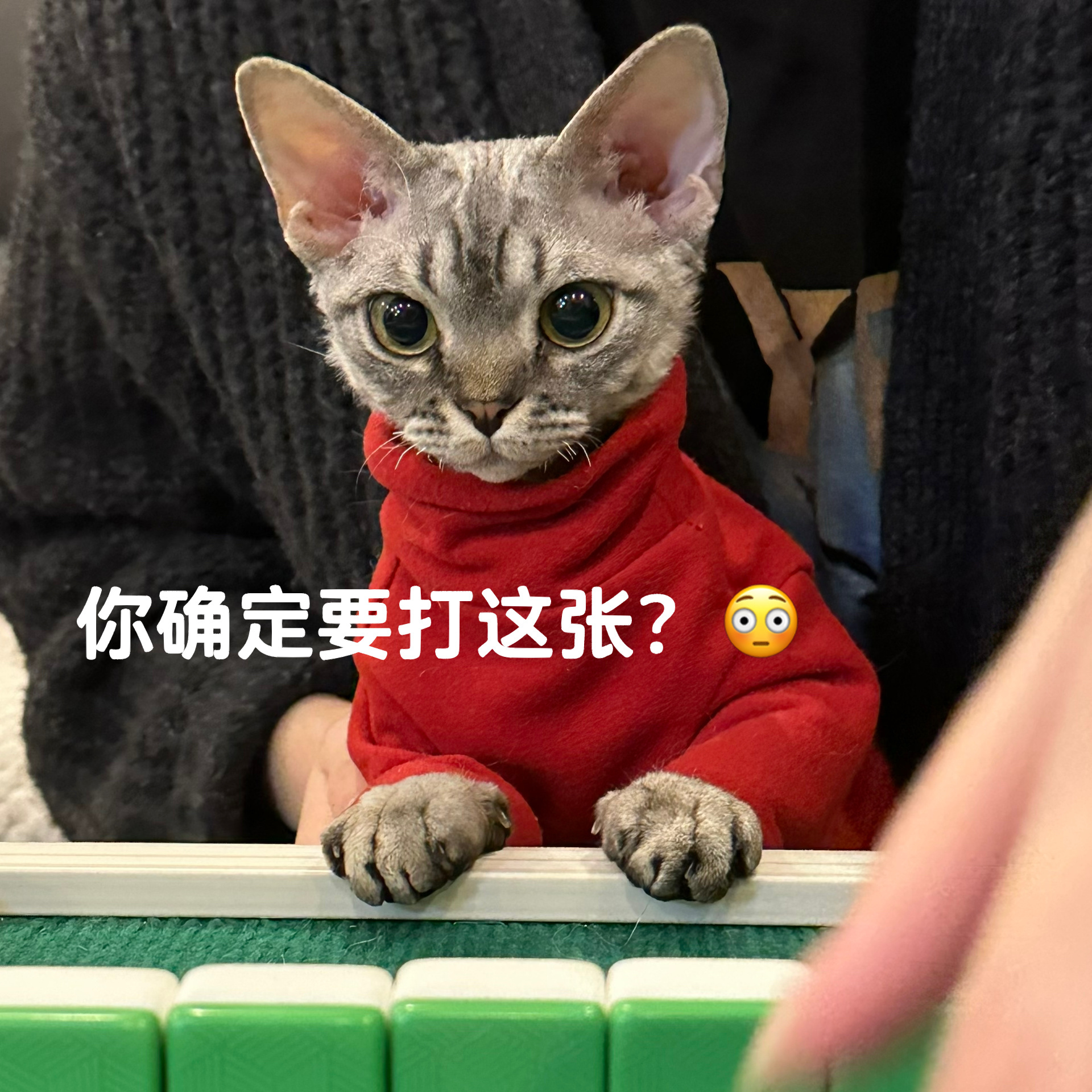 推荐必备“手机上打麻将外卦神器下载安装”助赢开挂器（安装教程）-第2张图片