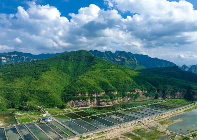 实测辅助“太行麻将开挂最佳方法”(作弊)辅助透视教程-第2张图片