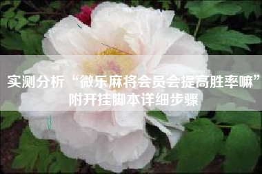 3分钟教程“微乐麻将小程序万能开挂器	”(透视)开挂辅助脚本+详细开挂安装教程-第1张图片